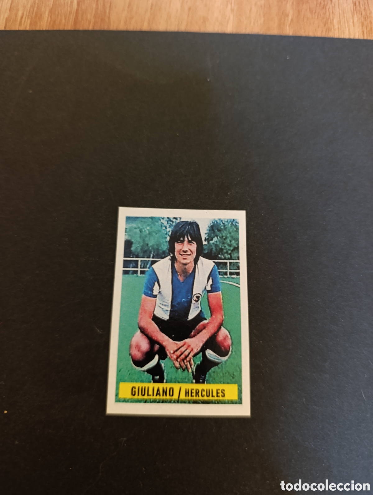 Cromos de F&uacute;tbol: Cromo Giuliano H&eacute;rcules CF Liga Este 74 75, ampliaci&oacute;n de la colecci&oacute;n