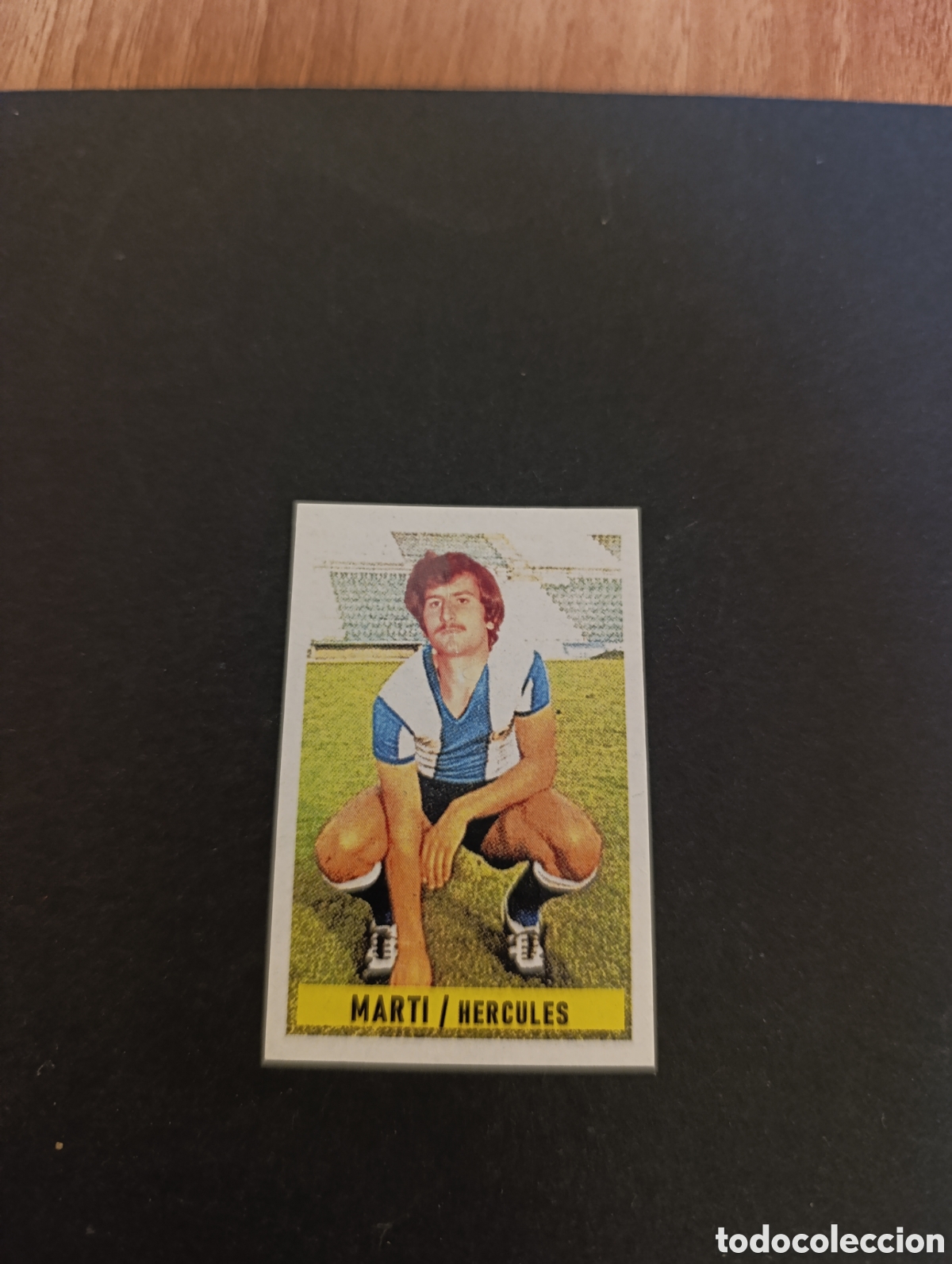 Football Stickers: Cromo Mart&iacute; H&eacute;rcules CF Liga Este 74 75, ampliaci&oacute;n de la colecci&oacute;n