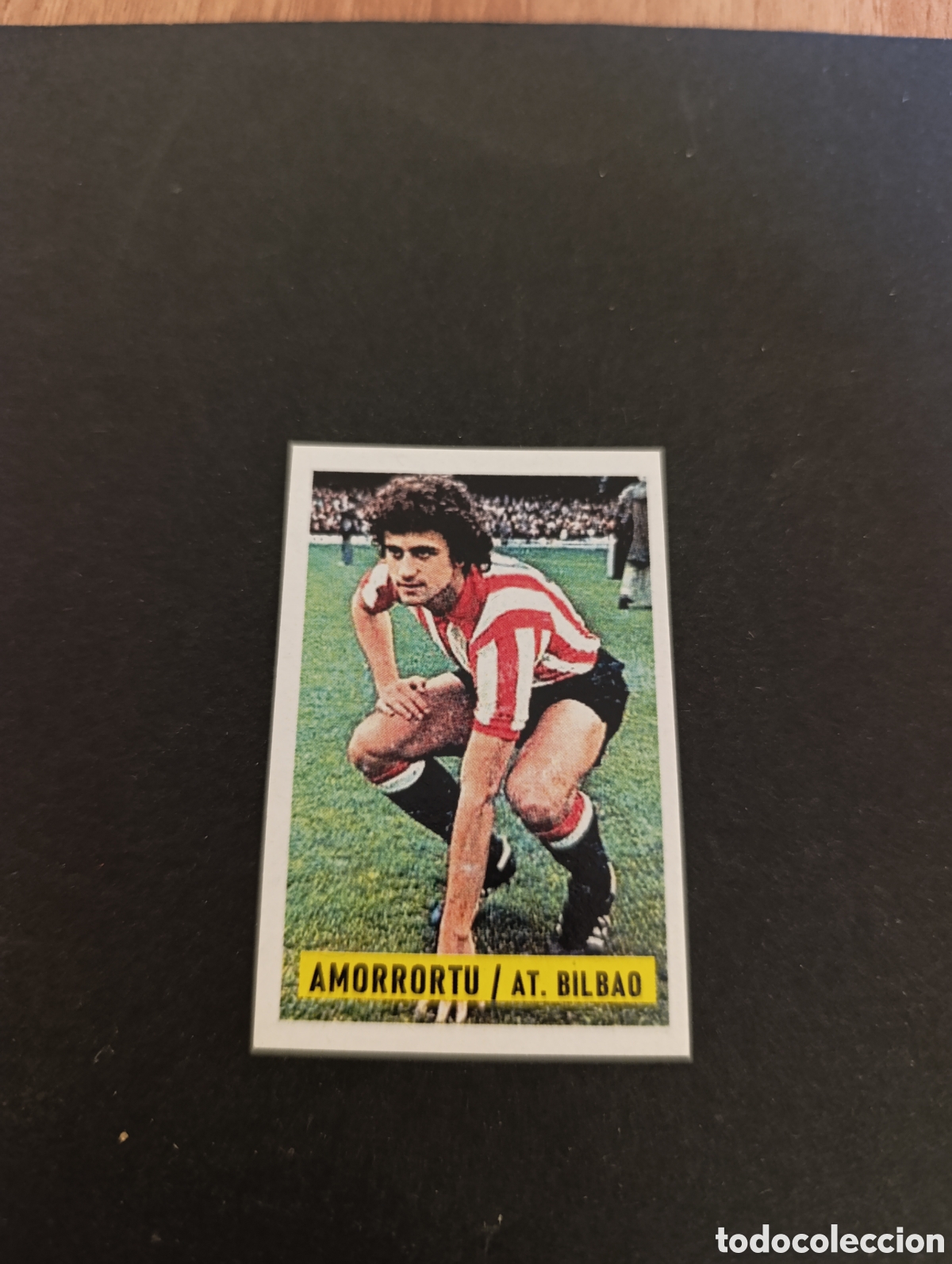 Cromos de F&uacute;tbol: Cromo Amorrortu Athletic Bilbao Liga Este 74 75, ampliaci&oacute;n de la colecci&oacute;n