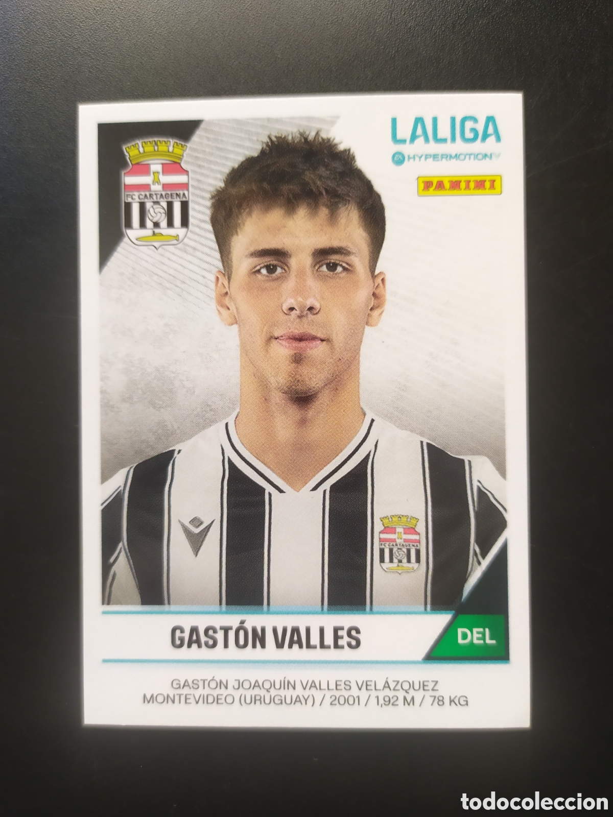 Cromos de F&uacute;tbol: Liga Hypermotion 2024 2025 24 25 panini Gast&oacute;n Valles n&deg; 94A 94 A Cartagena