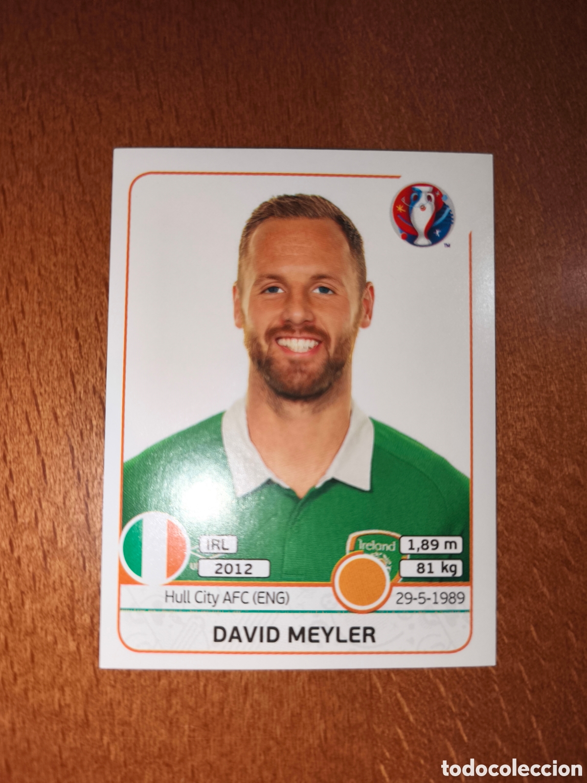 Fu&szlig;ball-Sticker: David Meyler n&deg;525 UEFA Euro 2016 Irlanda