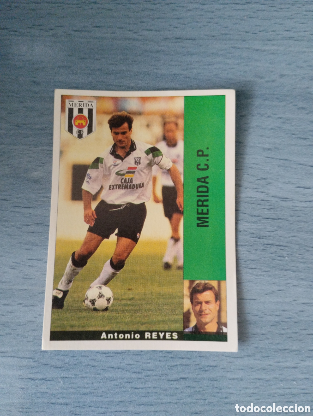 Cromos de F&uacute;tbol: Cromo Panini liga 95 96 reyes M&eacute;rida sin pegar
