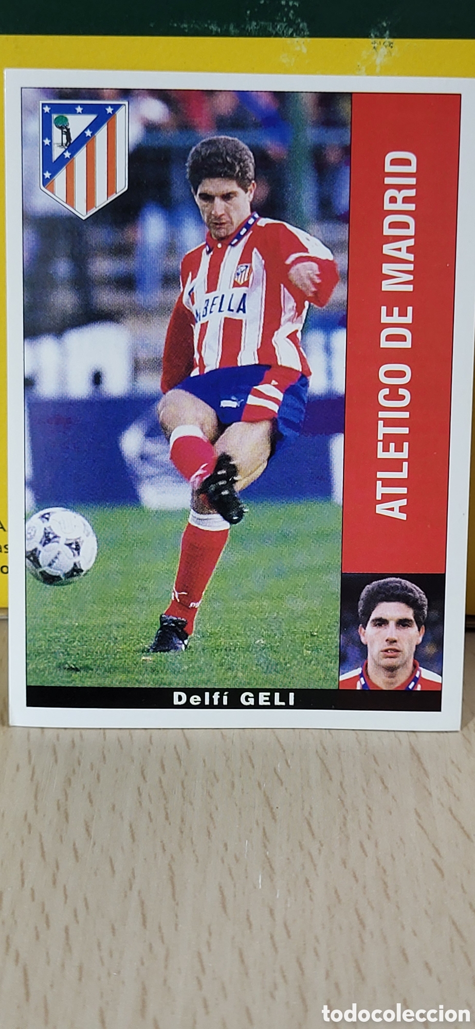 Cromos de F&uacute;tbol: DELFI GELI ATLETICO DE MADRID LIGA 95 96 DE FUTBOL PROFESIONAL PANINI