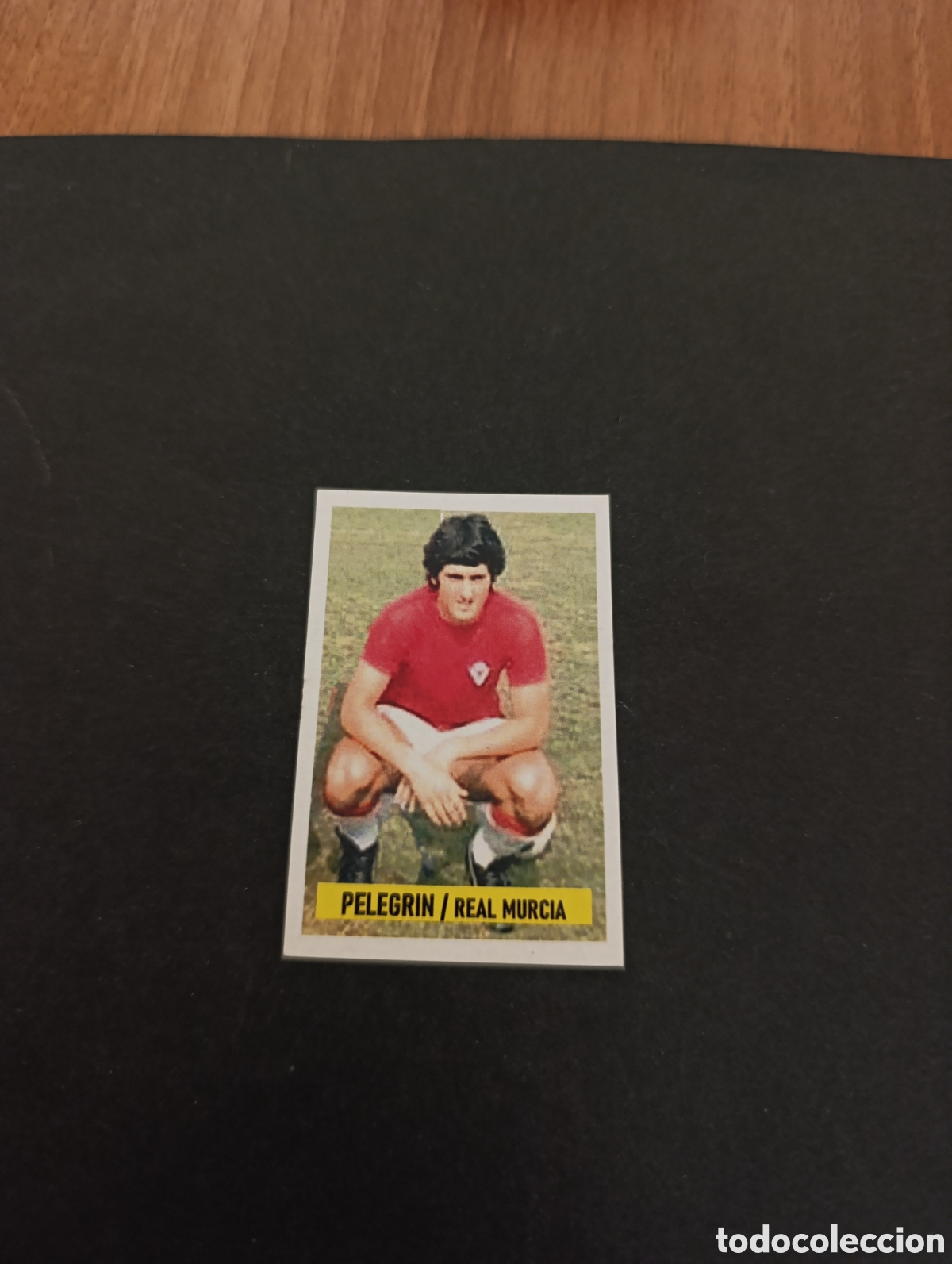 Cromos de F&uacute;tbol: Cromo Pelegr&iacute;n Real Murcia Liga Este 74 75, ampliaci&oacute;n de la colecci&oacute;n