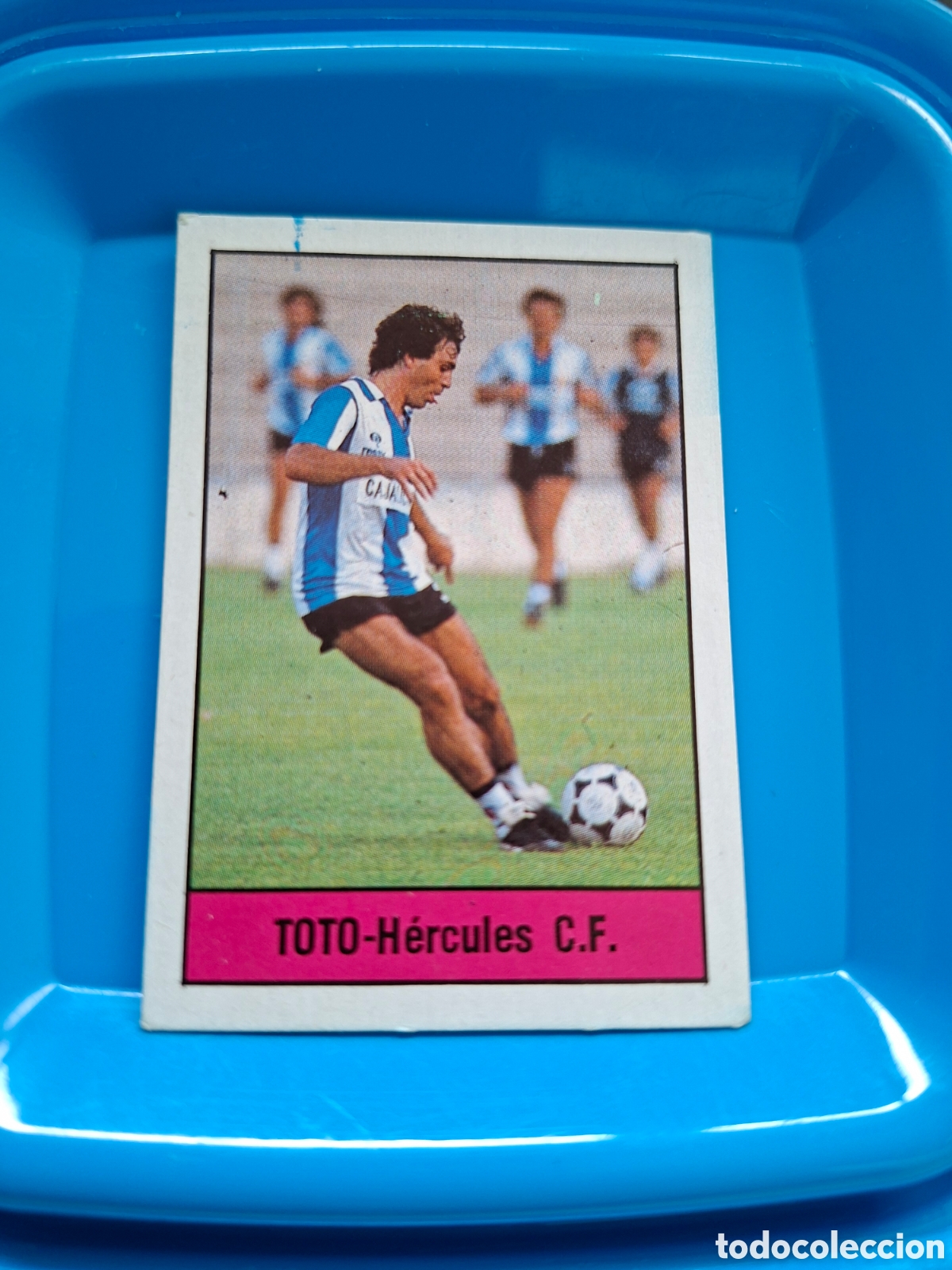 Cromos de Futebol: FICHAJE LISEL LIGA 1985 / 1986 85 86 TOTO HERCULES 310 DESPEGADO