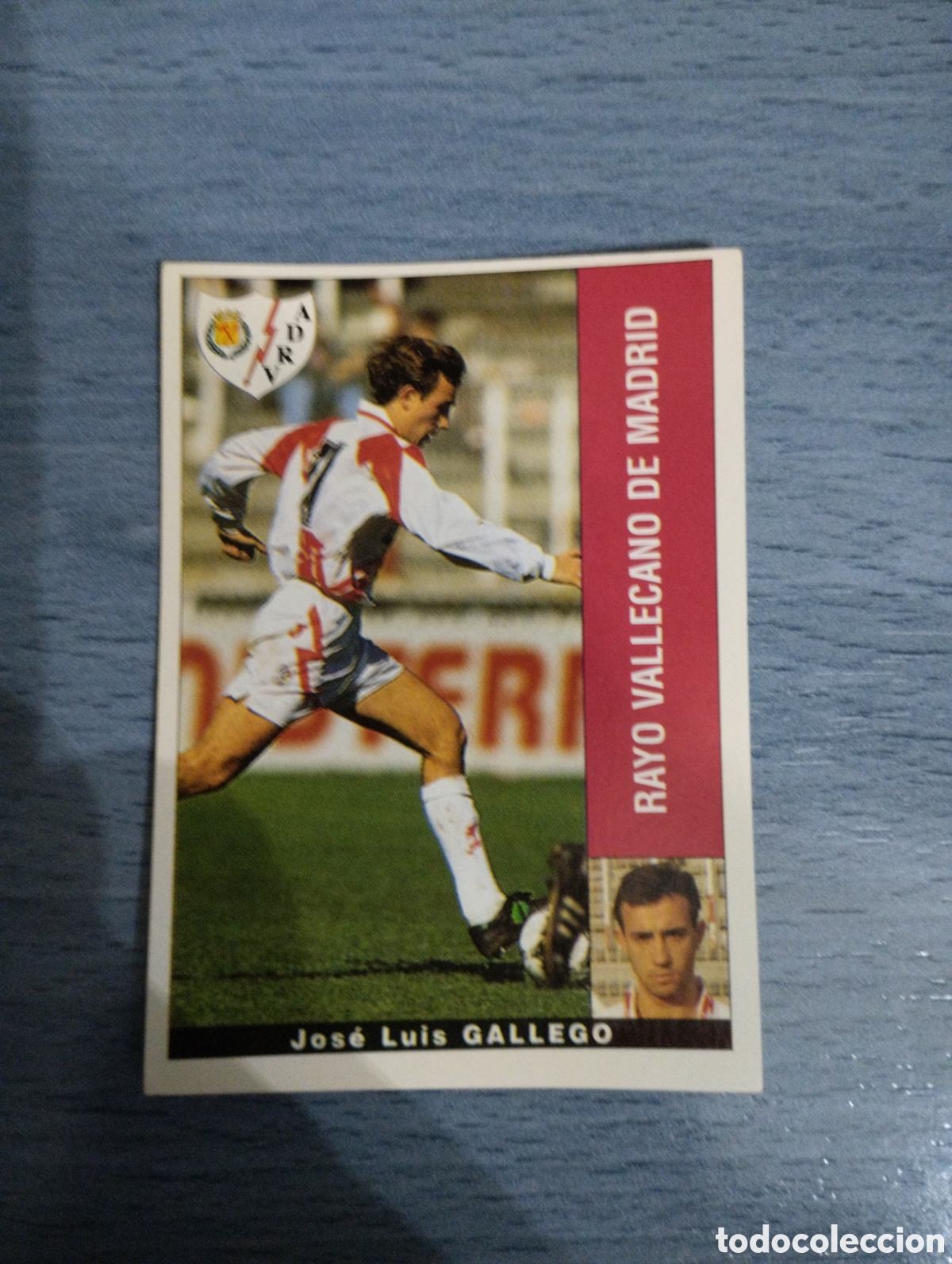 Cromos de F&uacute;tbol: Cromo Panini liga 95 96 gallego rayo vallecano sin pegar