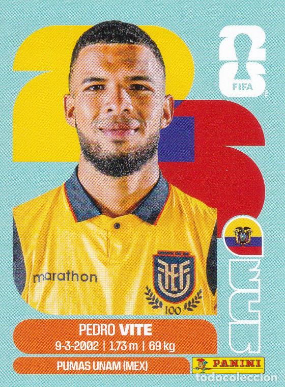 Cartes &agrave; collectionner de Football: FIFA WORLD CUP 2026 * PEDRO VITE N&ordm; 12 * DE ECUADOR - NUEVO DE SOBRE (A-18)