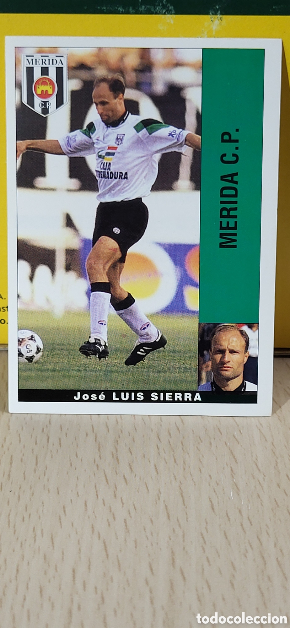 Figurine di Calcio: JOSE LUIS SIERRA MERIDA C.F. LIGA 95 96 DE FUTBOL PROFESIONAL PANINI