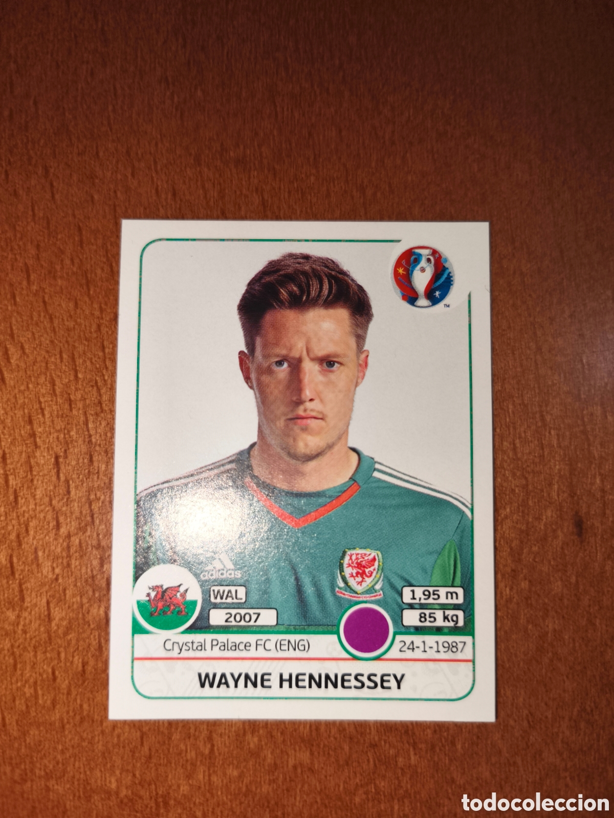 Cromos de F&uacute;tbol: Wayne Hennessey n&deg;181 UEFA Euro 2016 Gales