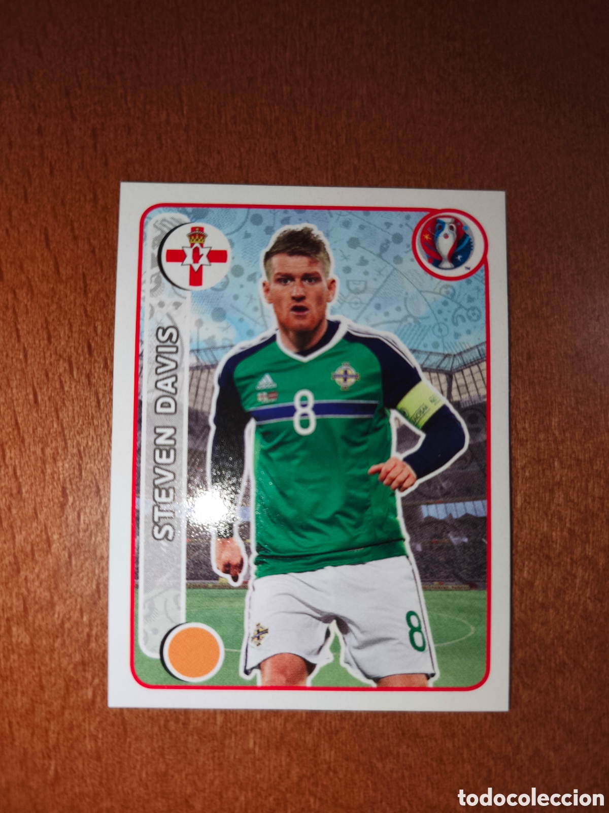 Cromos de F&uacute;tbol: Steven Davis n&deg;319 UEFA Euro 2016 Irlanda Del Norte