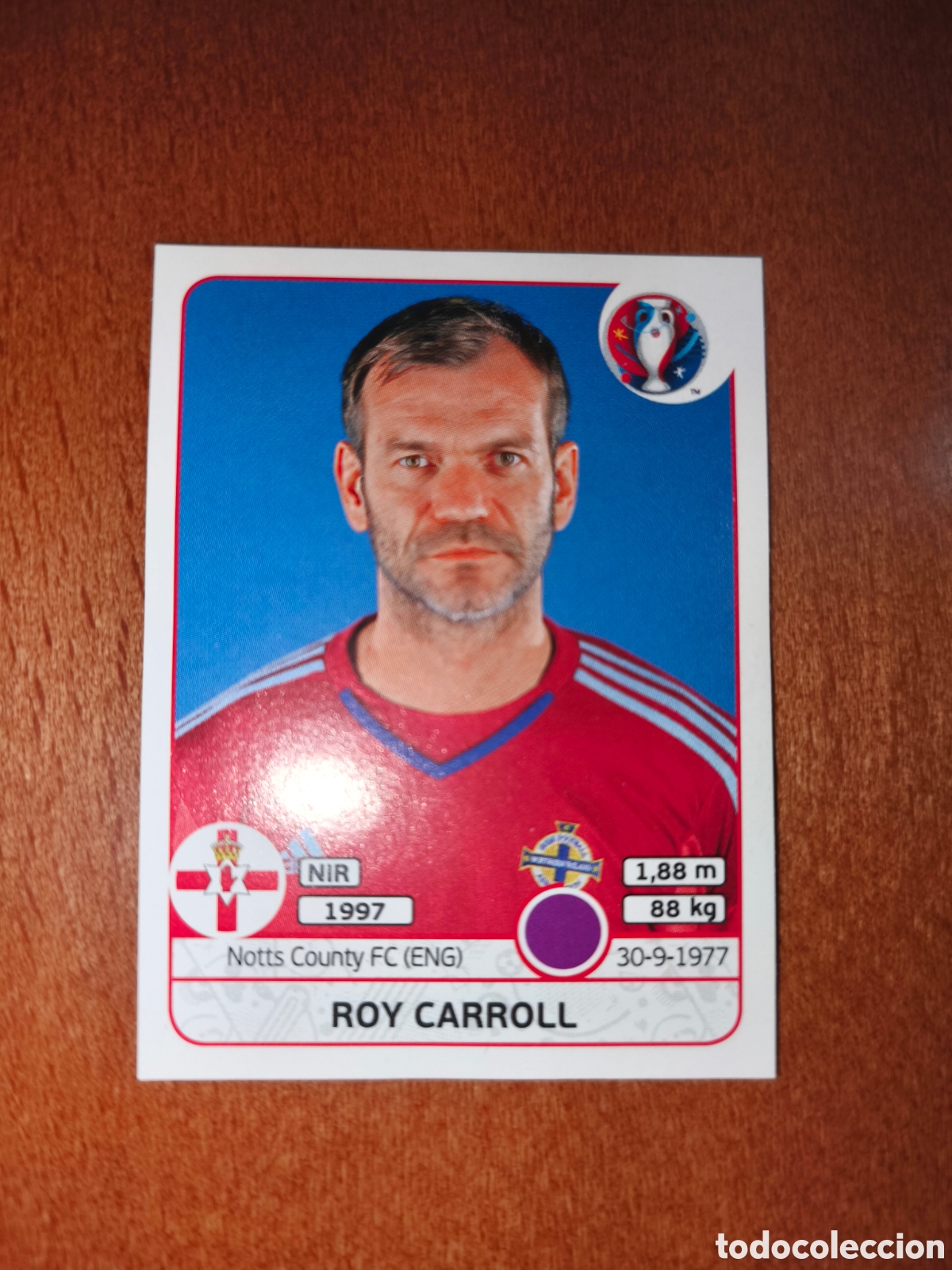 Figurine di Calcio: Roy Carroll n&deg;326 UEFA Euro 2016 Irlanda Del Norte