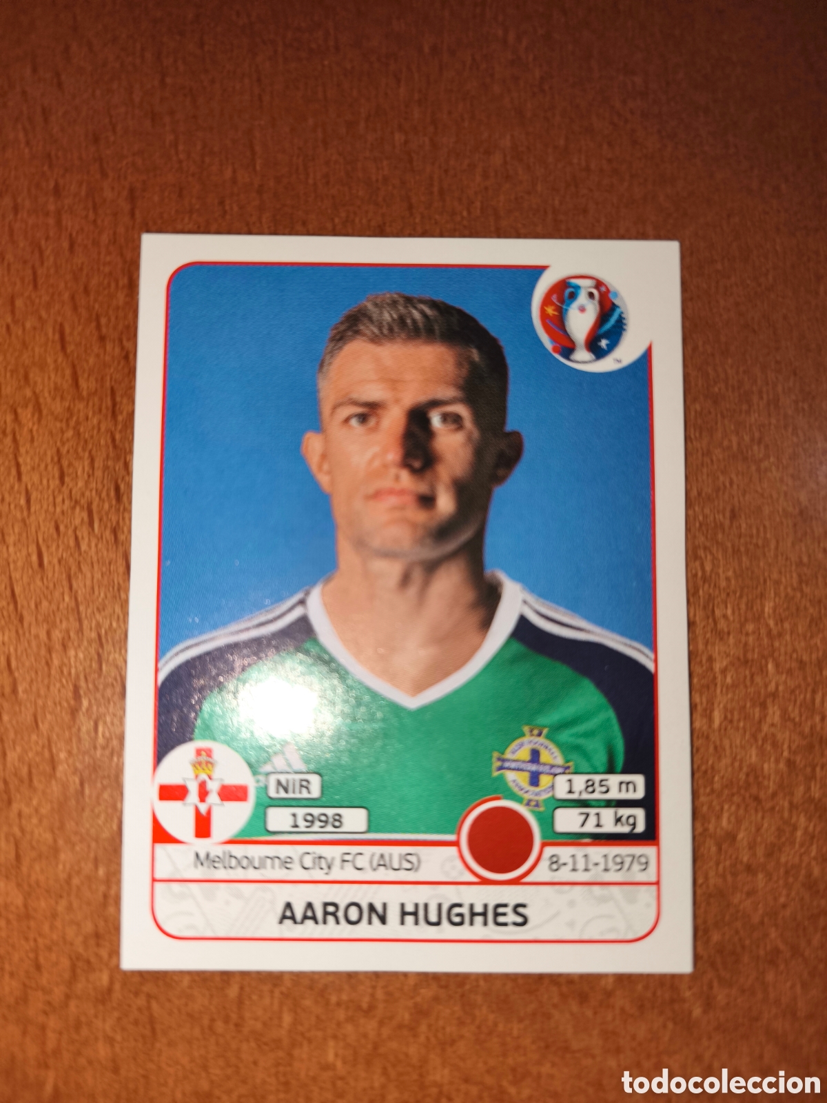 Cromos de F&uacute;tbol: Aaron Hughes n&deg;329 UEFA Euro 2016 Irlanda Del Norte