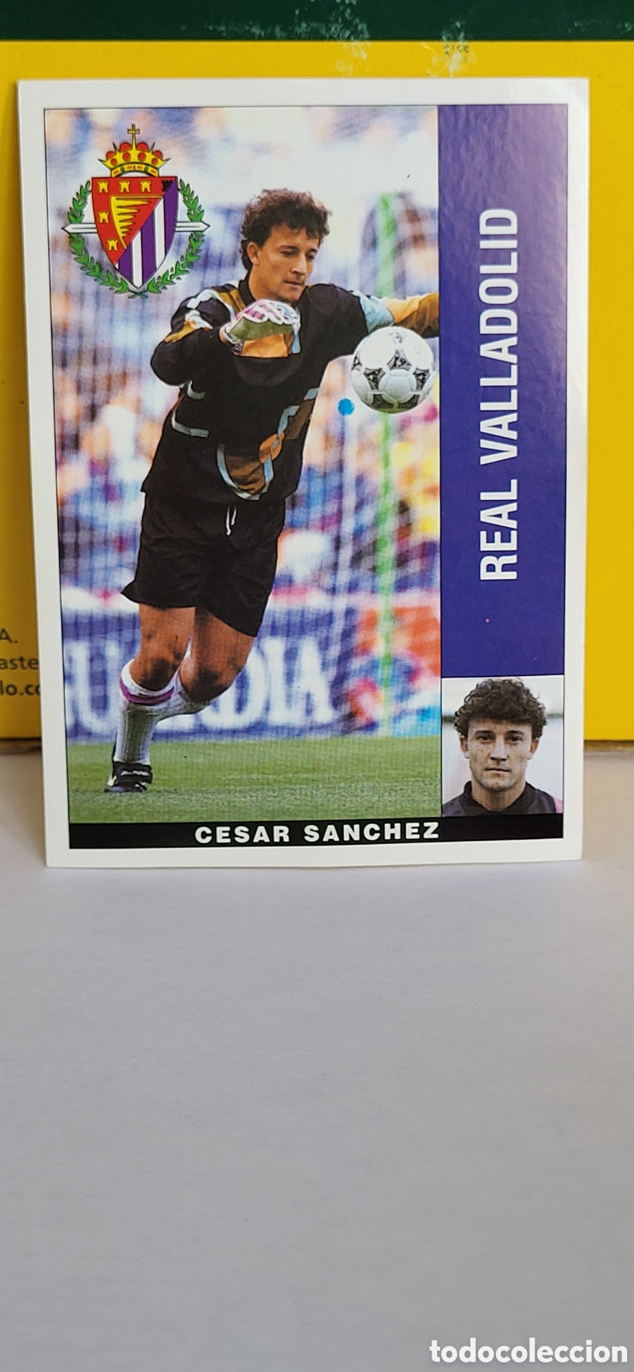 Figurine di Calcio: CESAR SANCHEZ REAL VALLADOLID LIGA 95 96 DE FUTBOL PROFESIONAL PANINI