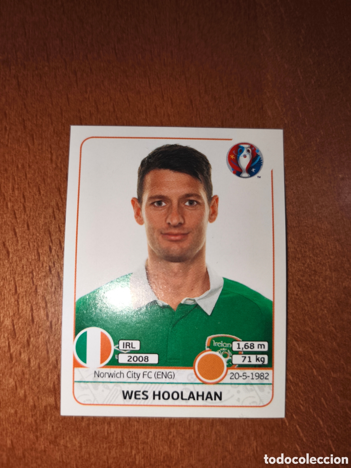 Cartes &agrave; collectionner de Football: Wes Hoolahan n&deg;531 UEFA Euro 2016 Irlanda
