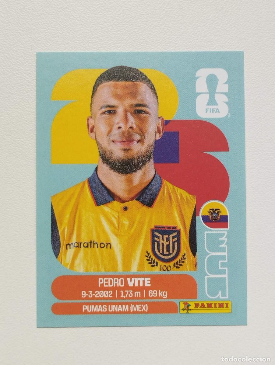 Cromos de F&uacute;tbol: CROMO STICKER WORLD CUP 2026 MUNDIAL 26 PANINI ECUADOR ECU12 ECU 12 PEDRO VITE