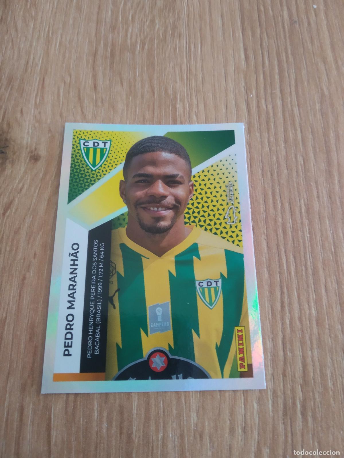 Football Stickers: 337 PEDRO MARANHAO TONDELA CROMO FUTBOL PANINI PORTUGAL 25-26 FUTEBOL LIGA BETCLIC 2025-2026