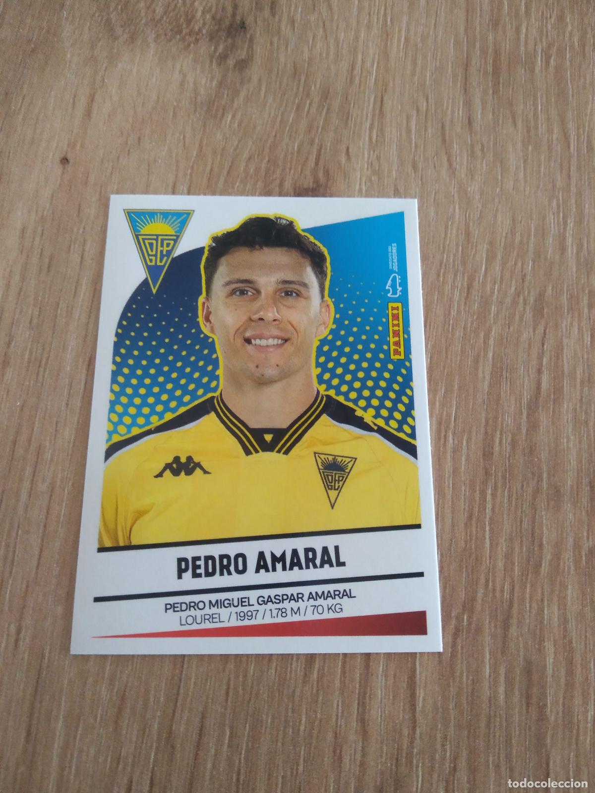 Cromos de F&uacute;tbol: 141 PEDRO AMARAL ESTORIL CROMO FUTBOL PANINI LIGA PORTUGAL 2024-2025 FUTEBOL 24-25 LIGA BETCLIC