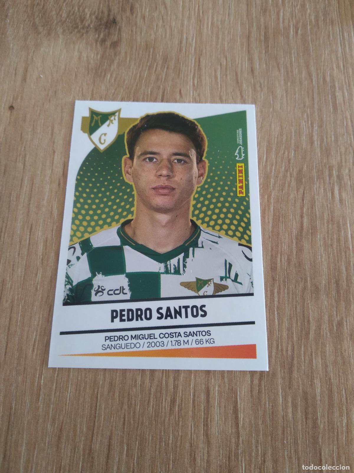 Cromos de F&uacute;tbol: 241 PEDRO SANTOS Moreirense CROMO FUTBOL PANINI PORTUGAL 2024-2025 FUTEBOL 24-25 LIGA BETCLIC