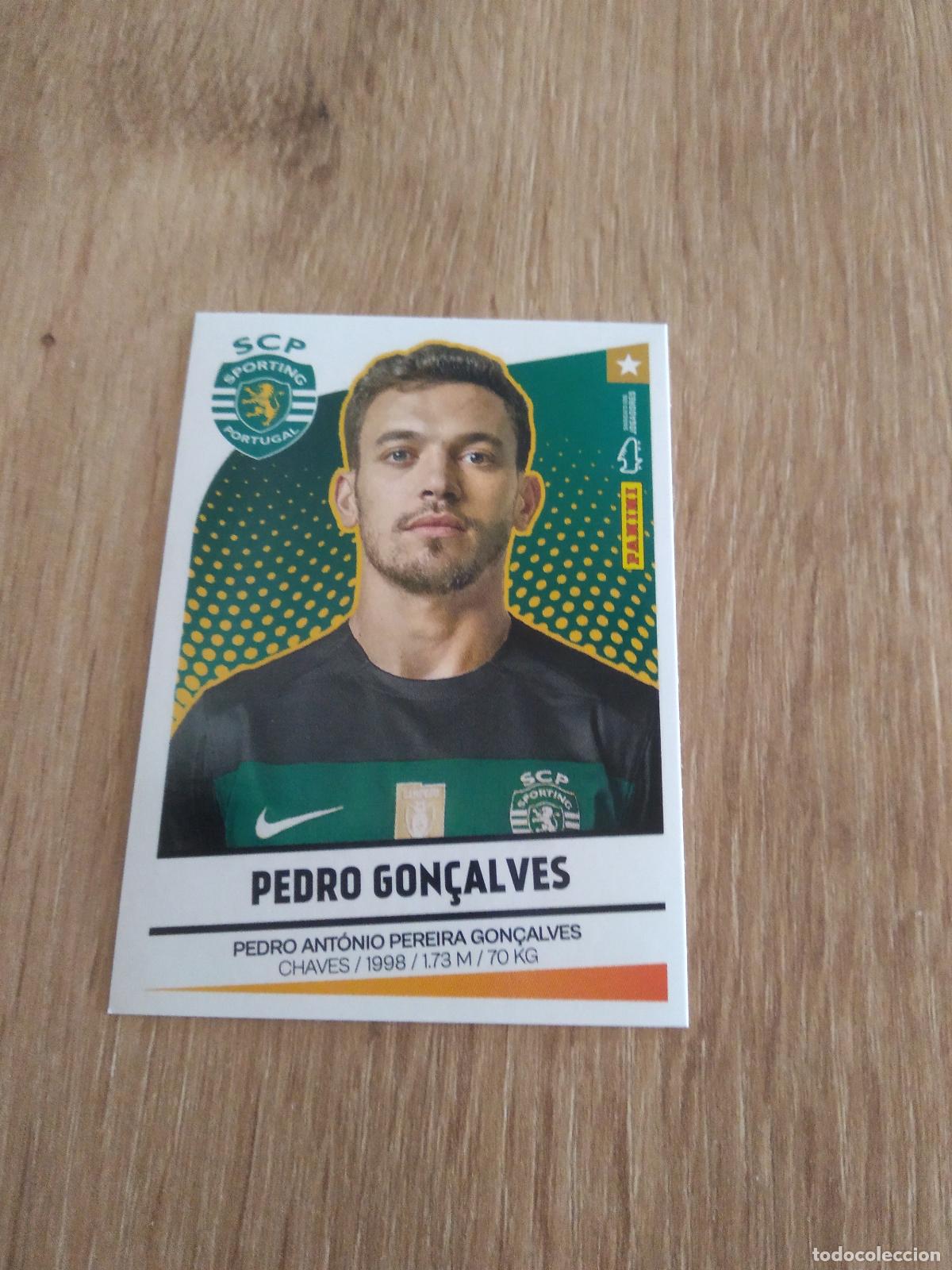 Cromos de F&uacute;tbol: 336 PEDRO GON&Ccedil;ALVES SPORTING CROMO FUTBOL PANINI LIGA PORTUGAL 2024-2025 FUTEBOL 24-25 LIGA BETCLIC