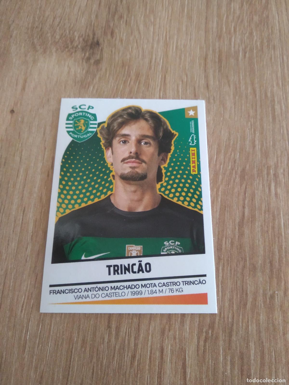 Cromos de F&uacute;tbol: 337 TRINCAO SPORTING CROMO FUTBOL PANINI LIGA PORTUGAL 2024-2025 FUTEBOL 24-25 LIGA BETCLIC