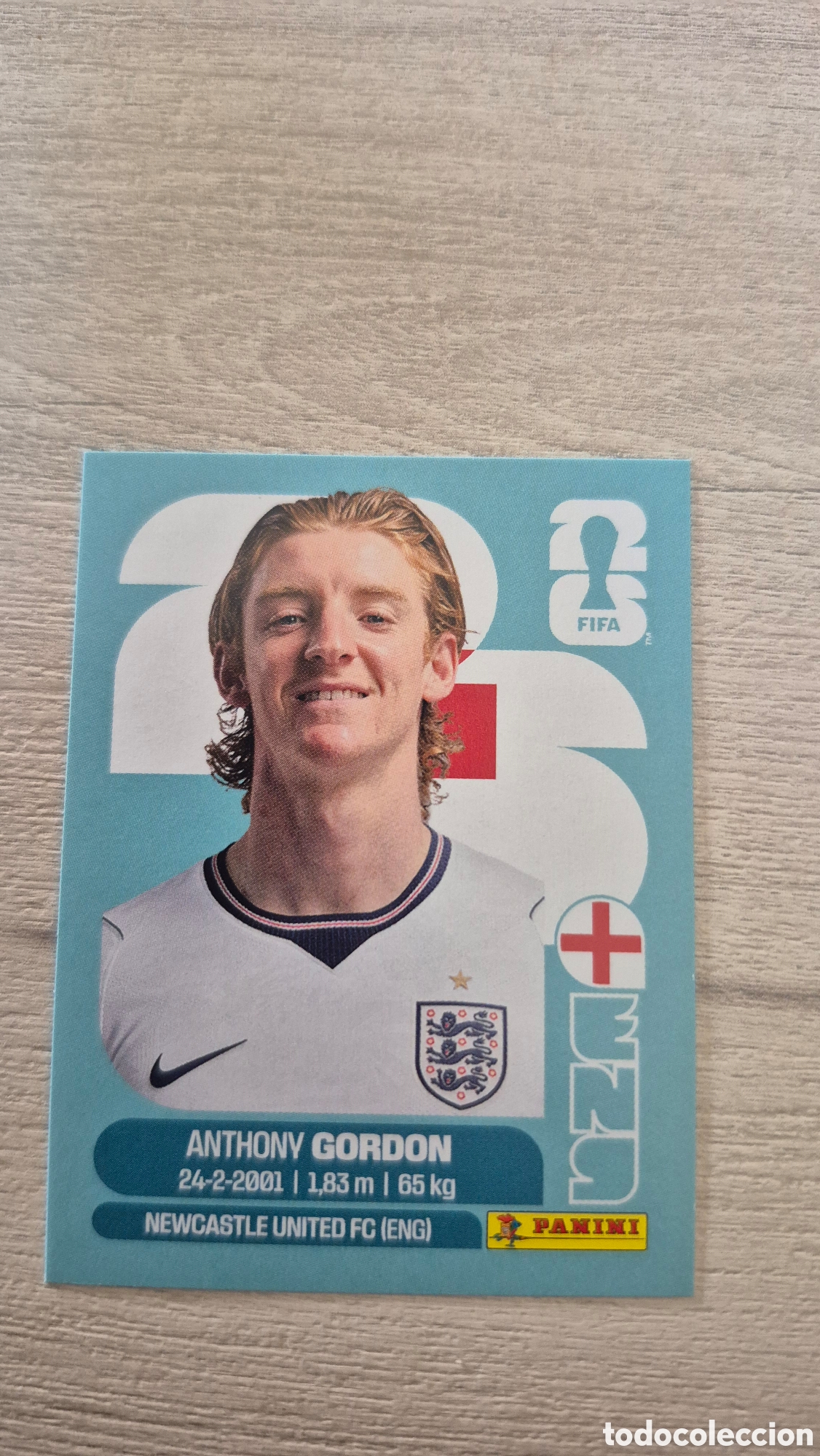 Cromos de F&uacute;tbol: ENG15 Gordon FIFA World Cup 2026