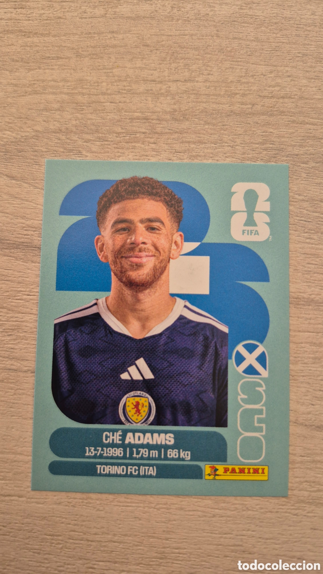 Football Stickers: SCO19 Adams FIFA World Cup 2026