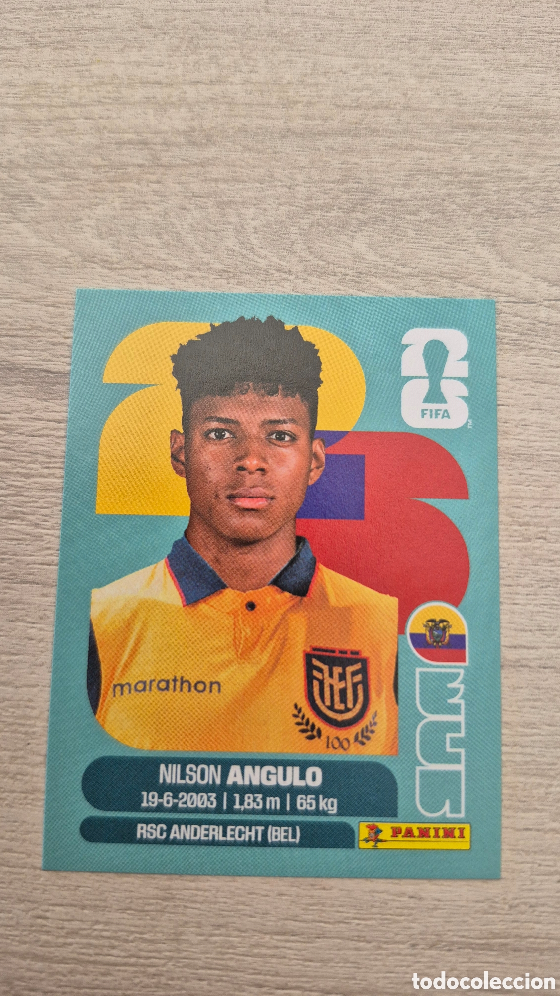 Football Stickers: ECU17 &Aacute;ngulo FIFA World Cup 2026