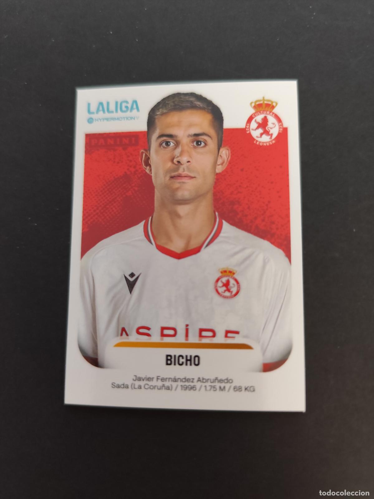 Cromos de F&uacute;tbol: 164 BICHO CULTURAL LEONESA SEGUNDA 2&ordf; DIVISI&Oacute;N LIGA HYPERMOTION 2025 2026 25 26 PEDIDO M&Iacute;NIMO 2&euro;