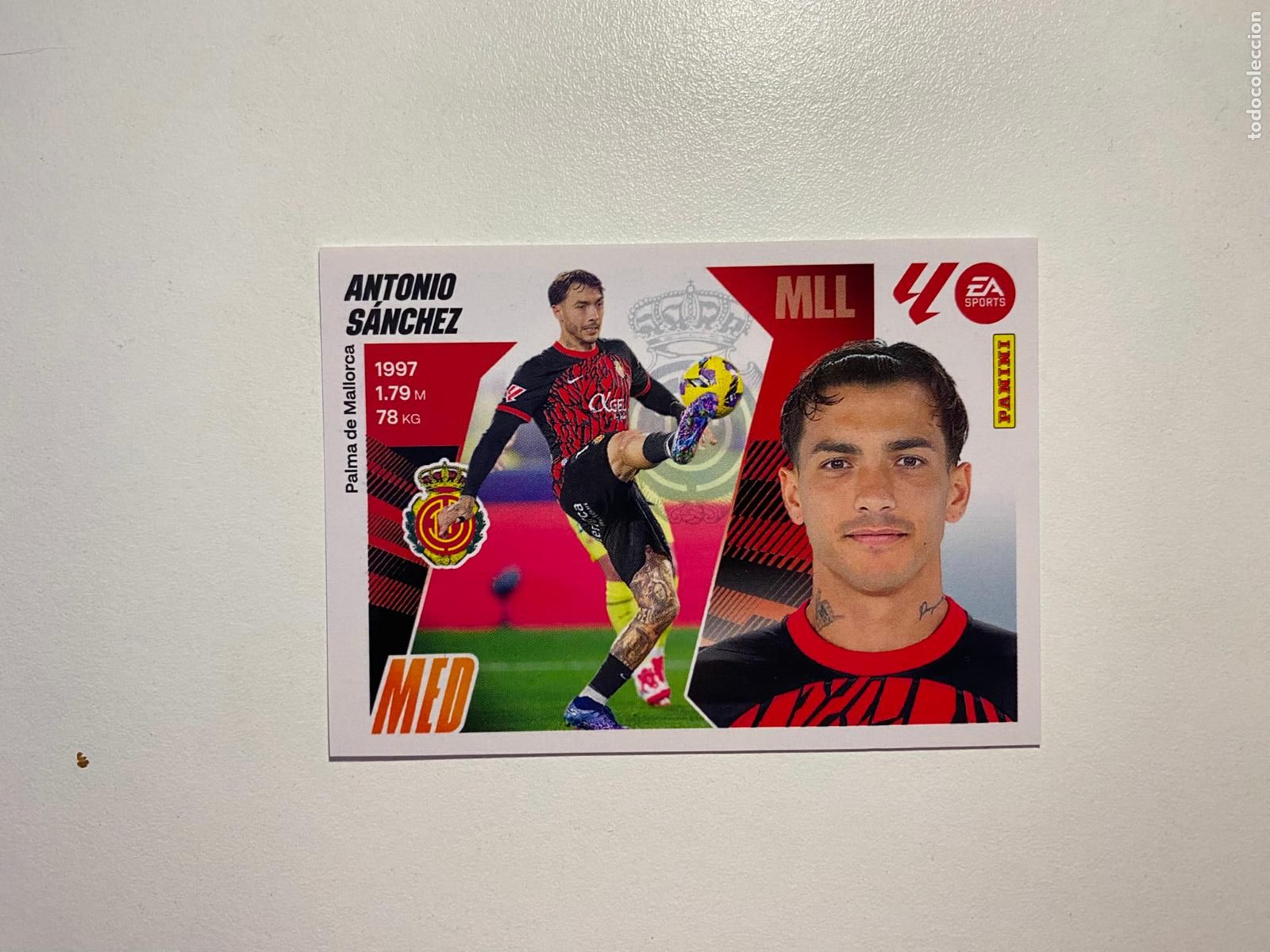 Cromos de F&uacute;tbol: LALIGA ESTE 2025 2026 EA SPORTS 25 26 ALBUM PANINI LIGA N 14 RCD MALLORCA ANTONIO S&Aacute;NCHEZ