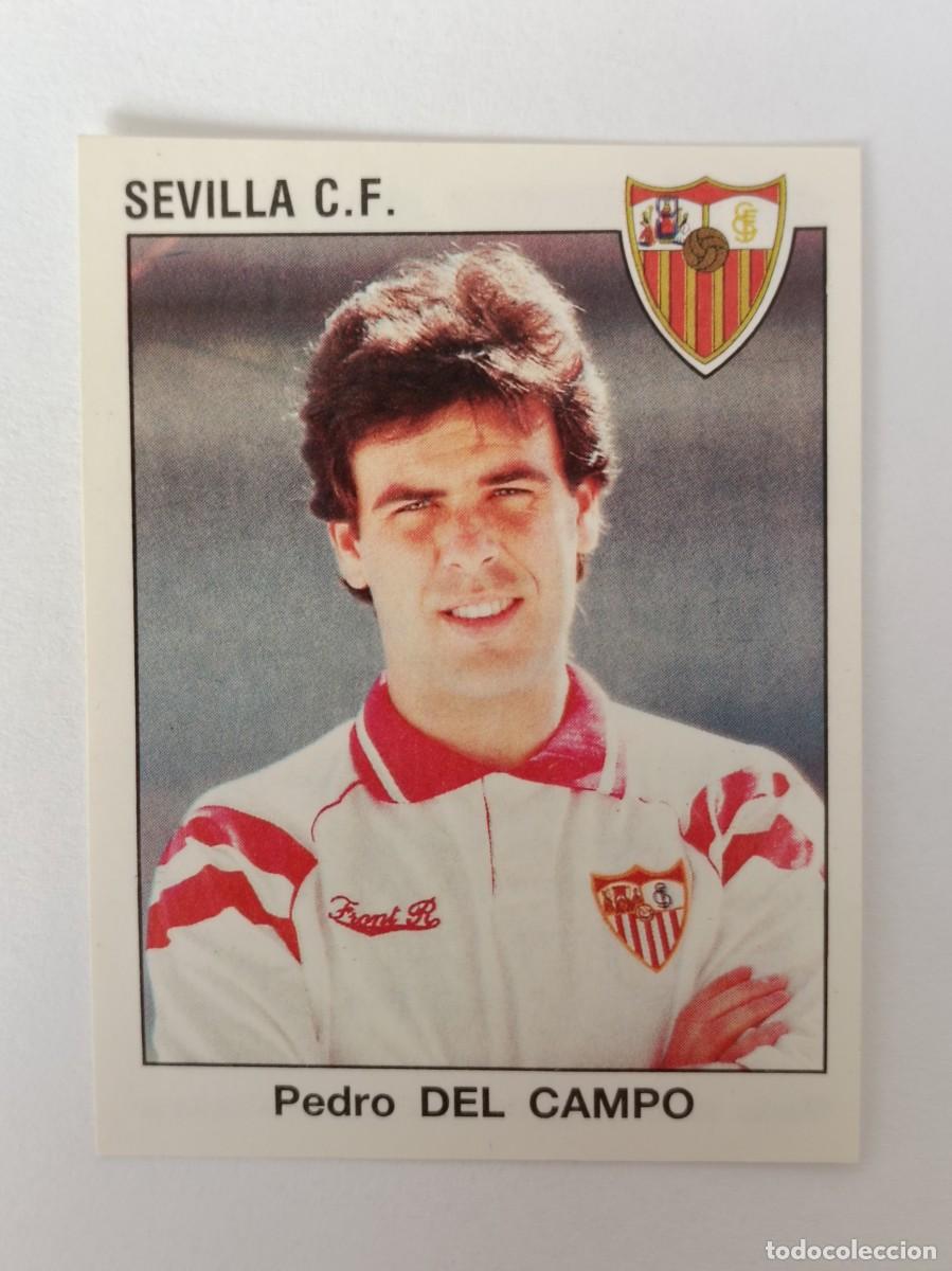 Cromos de F&uacute;tbol: #247 DEL CAMPO (SEVILLA C.F.) LIGA 93/94 PANINI
