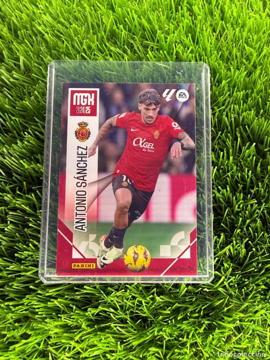Cromos de F&uacute;tbol: N&ordm; 246 Antonio S&aacute;nchez RCD Mallorca Megacracks 24 25