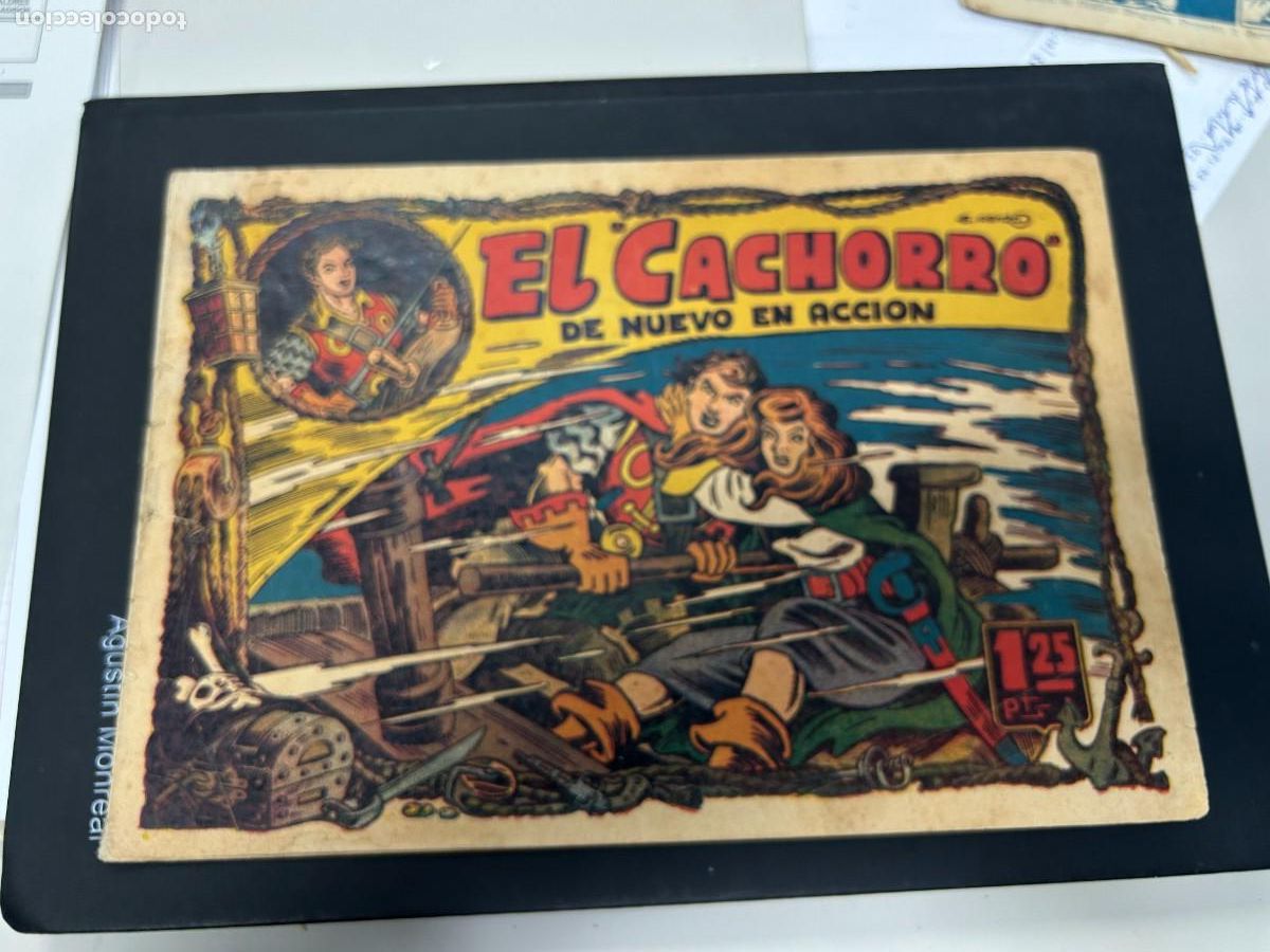 Cartes &agrave; collectionner de Football: el cachorro n&ordm; 24 correcto