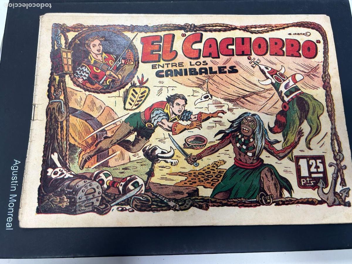 Cromos de F&uacute;tbol: el cachorro n&ordm; 25 correcto