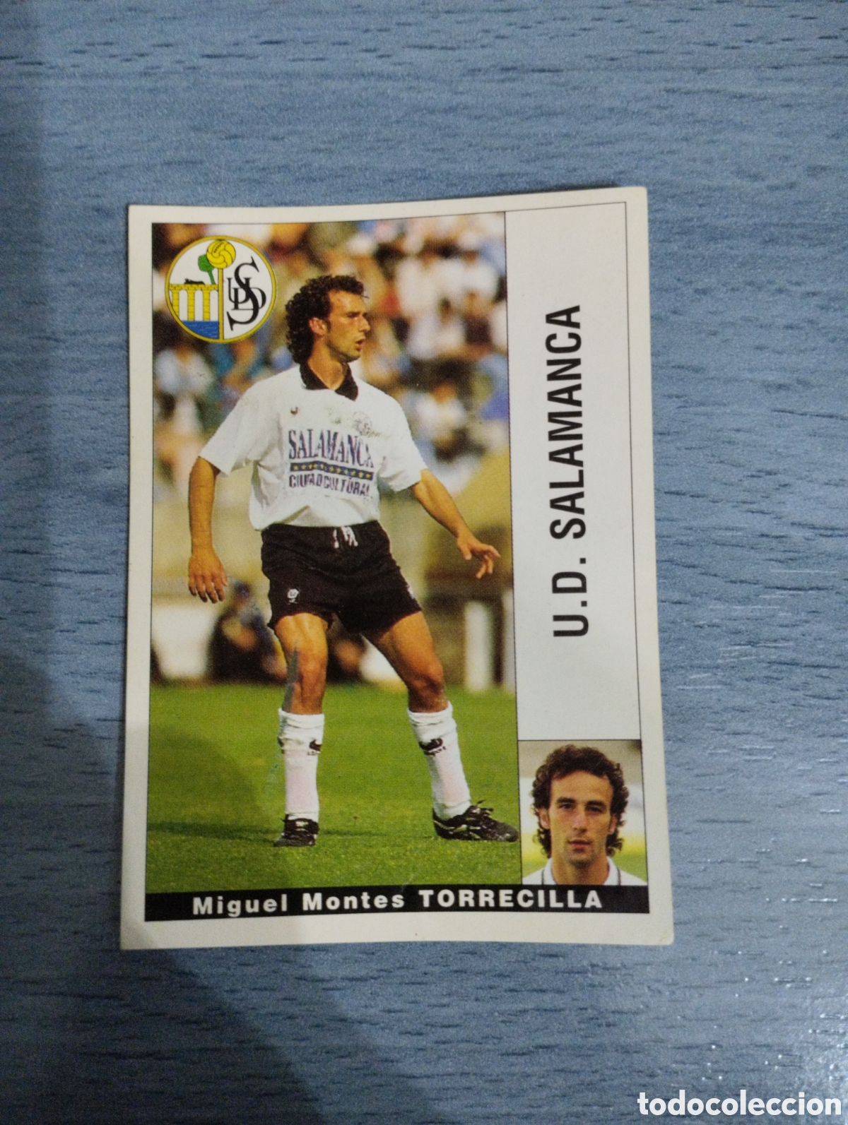 Cromos de F&uacute;tbol: Cromo Panini liga 95 96 torrecilla salamanca sin pegar