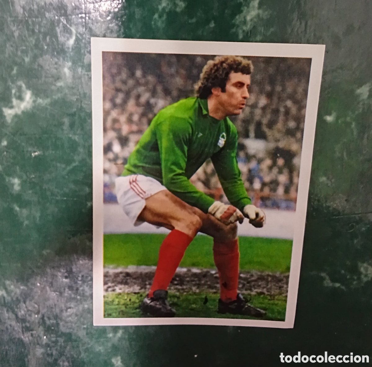 Cromos de Futebol: 132 SHILTON NOTTINGHAM FOREST LIBRO DE LOS CAMPEONES DE EUROPA MARCA SIN PEGAR