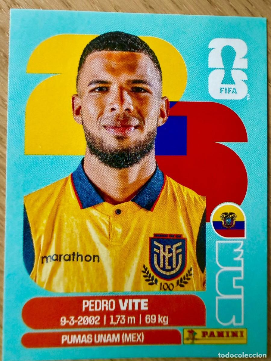 Cromos de Futebol: ECU12 ECU 12 PEDRO VITE ECUADOR MUNDIAL FIFA WORLD CUP 2026 26 STICKER CROMO PANINI SIN PEGAR