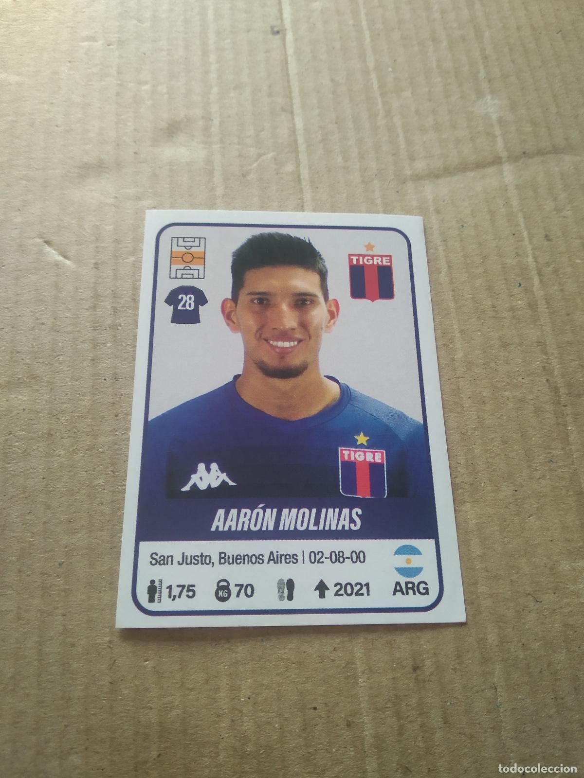 Cromos de F&uacute;tbol: 436 AARON MOLINAS TIGRE CROMO FUTBOL ARGENTINO PANINI LIGA ARGENTINA 2023