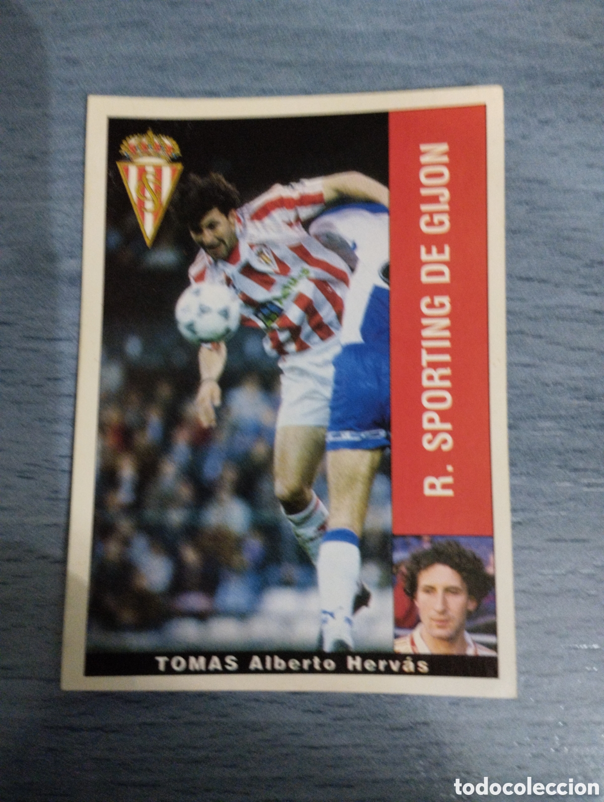Cromos de F&uacute;tbol: Cromo Panini liga 95 96 tomas Sporting de Gij&oacute;n sin pegar