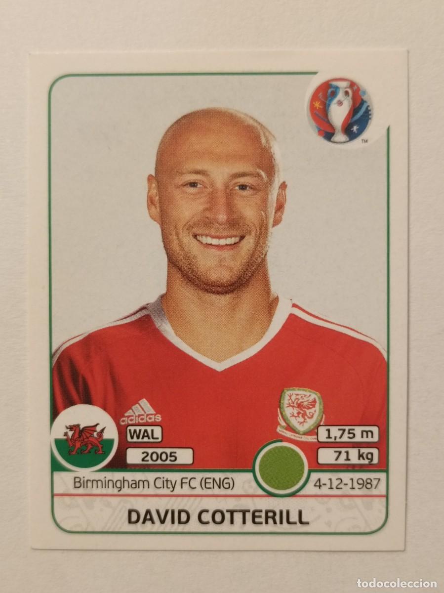 Cromos de F&uacute;tbol: #197 DAVID COTTERILL (GALES) EURO FRANCIA 2016 PANINI