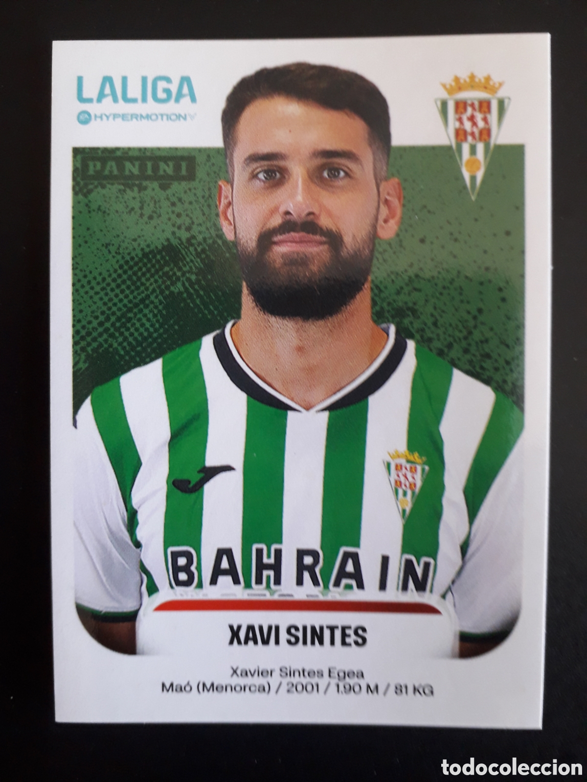Cromos de F&uacute;tbol: XAVI SINTES C&Oacute;RDOBA N&deg; 142 LALIGA HYPERMOTION 25 26 2025 2026 PANINI SIN PEGAR PEDIDO M&Iacute;NIMO 3&euro;