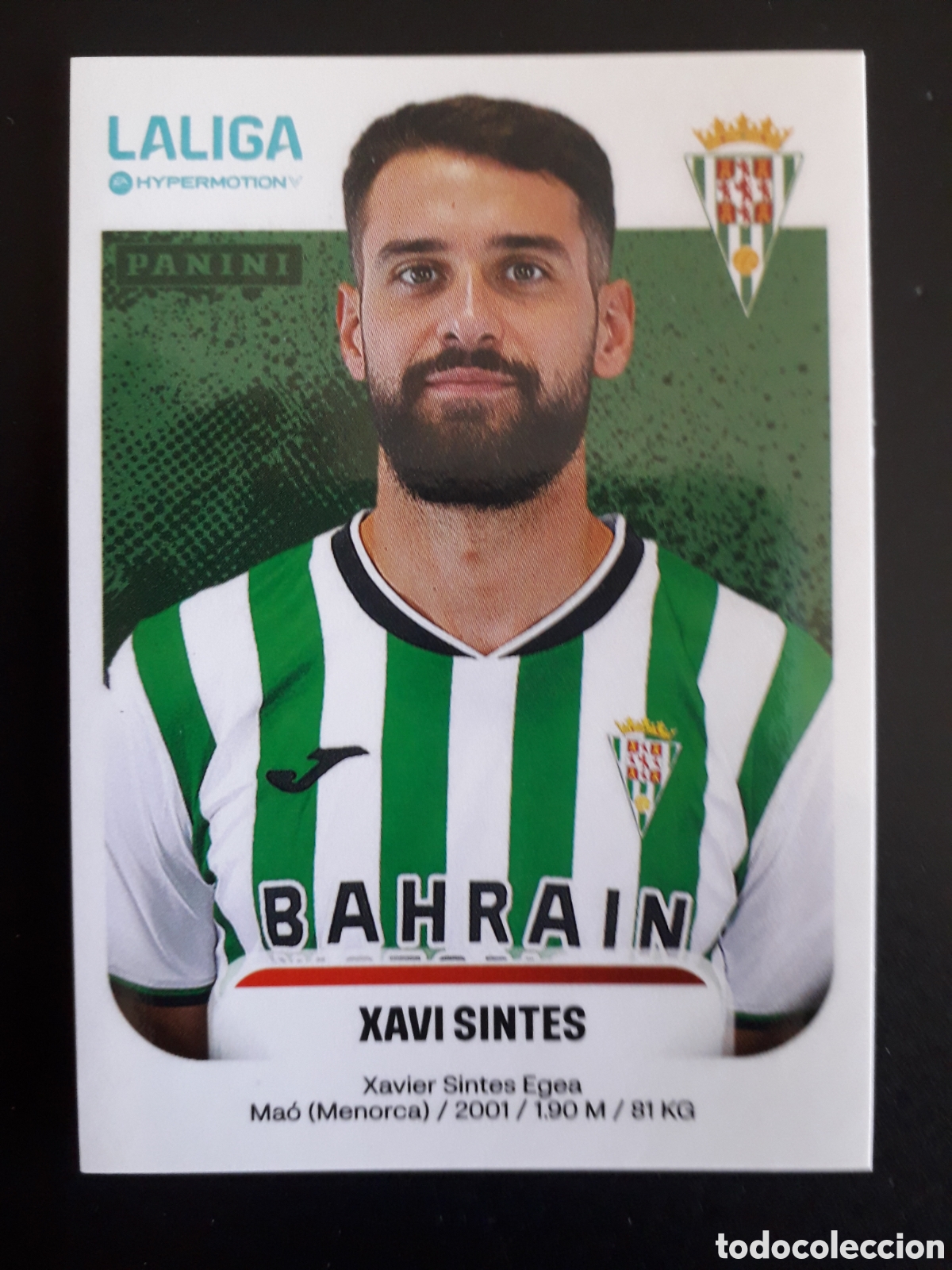 Cromos de F&uacute;tbol: XAVI SINTES C&Oacute;RDOBA N&deg; 142 LALIGA HYPERMOTION 25 26 2025 2026 PANINI SIN PEGAR PEDIDO M&Iacute;NIMO 3&euro;