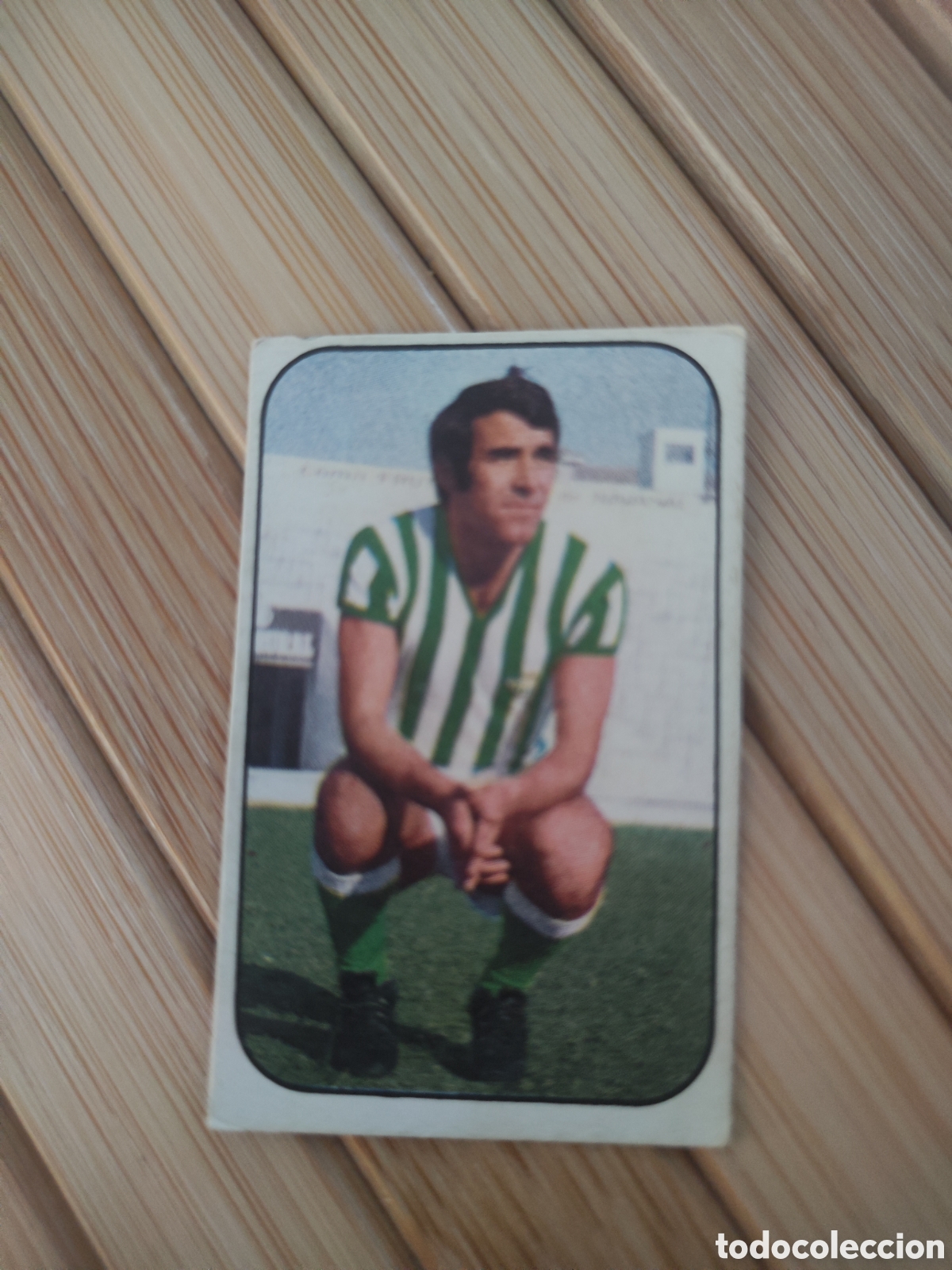 Cromos de F&uacute;tbol: Este 76 77 sin pegar Real Betis Sabat&eacute;