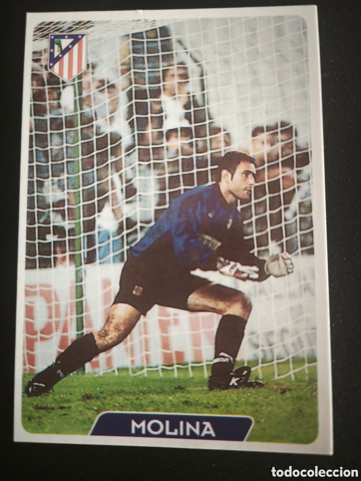 Cromos de F&uacute;tbol: 237 Molina Atletico Madrid LAS FICHAS DE LA LIGA MUNDICROMO 1995 1996 95 96