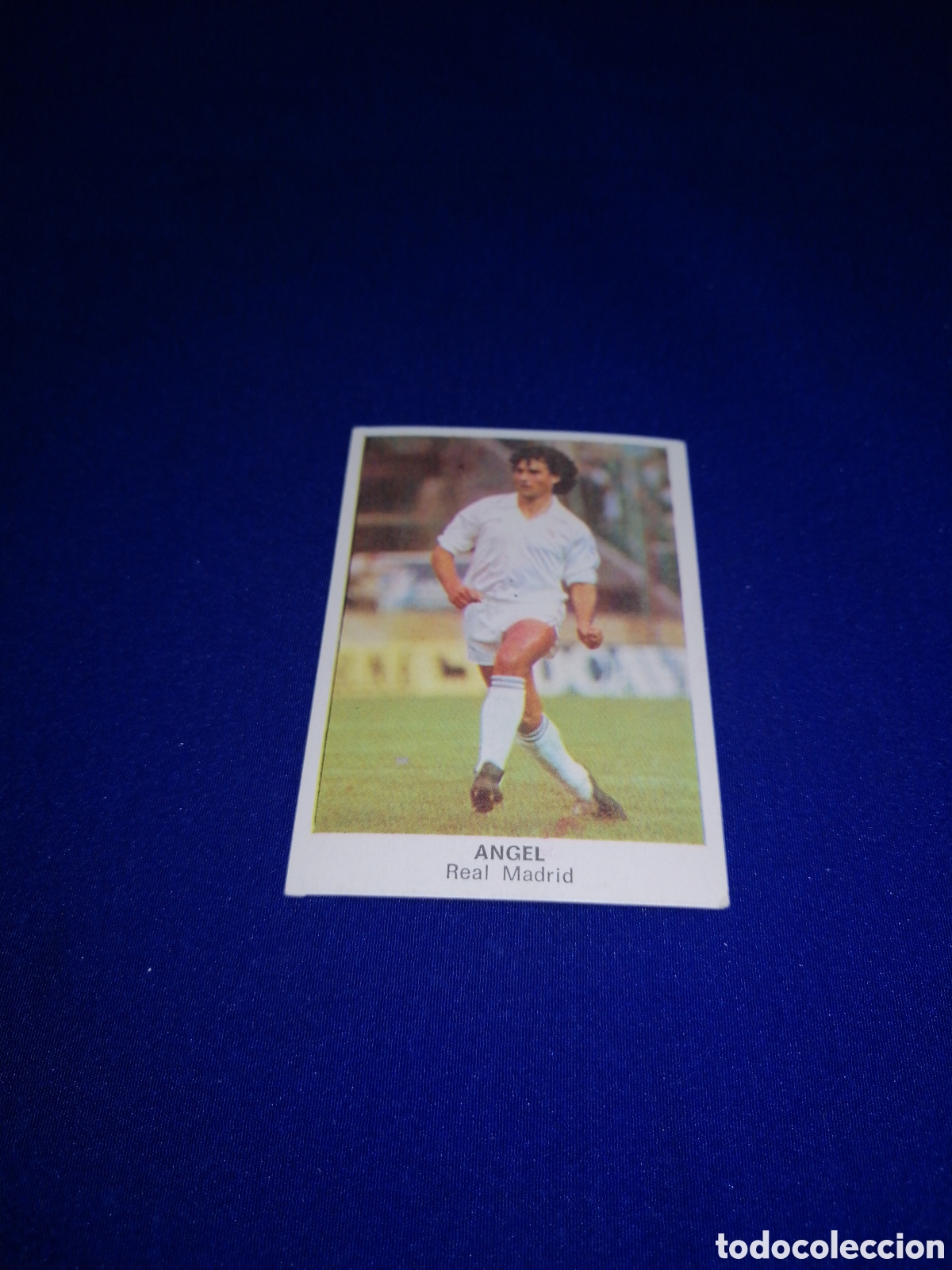 Cromos de F&uacute;tbol: F&Uacute;TBOL 84 - REAL MADRID - ANGEL