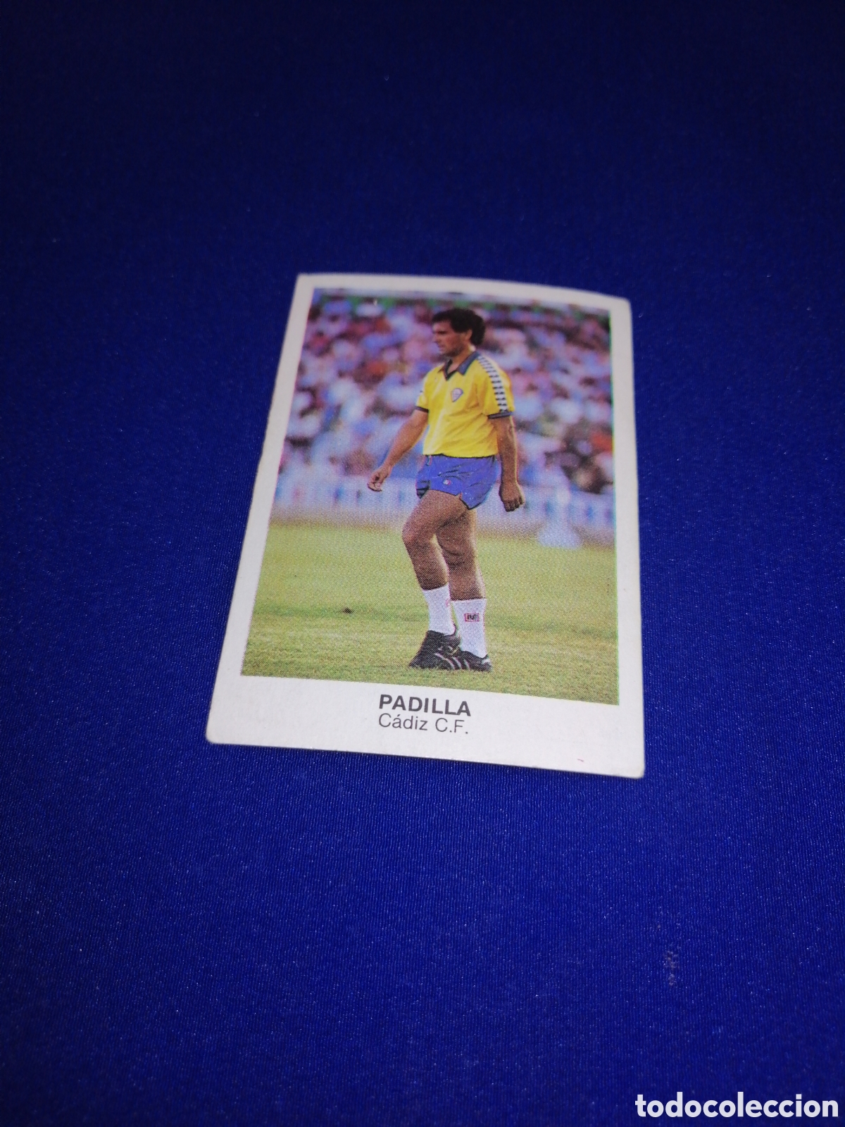 Cromos de F&uacute;tbol: F&Uacute;TBOL 84 - CADIZ CLUB DE F&Uacute;TBOL - PADILLA N&Uacute;MERO 10