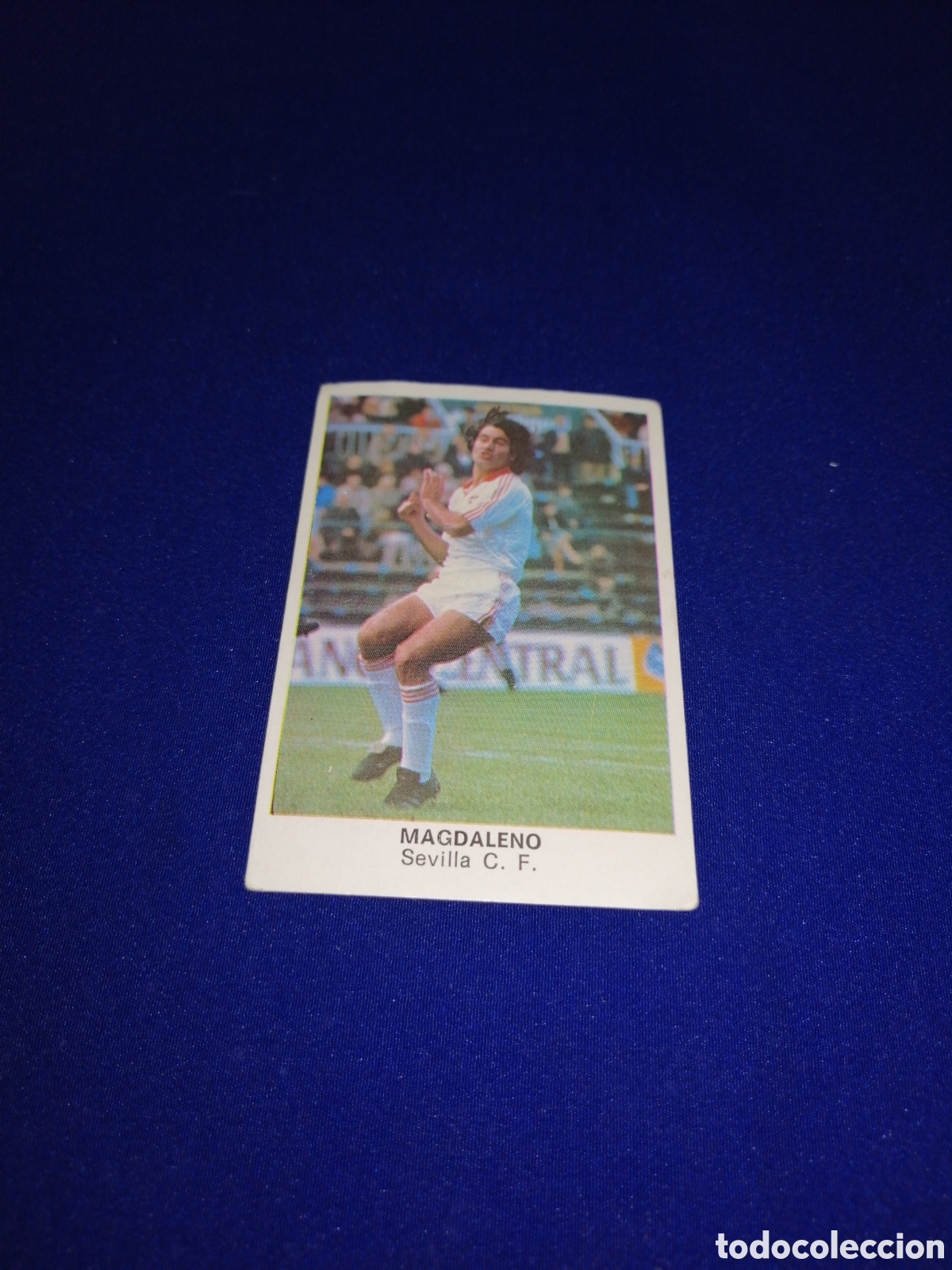 Cromos de F&uacute;tbol: F&Uacute;TBOL 84 - SEVILLA CLUB DE F&Uacute;TBOL - MAGDALENO