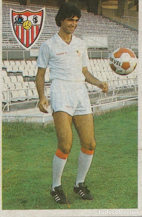Cromos de F&uacute;tbol: MARADONA 84. &Aacute;LVAREZ I. NUNCA PEGADO.