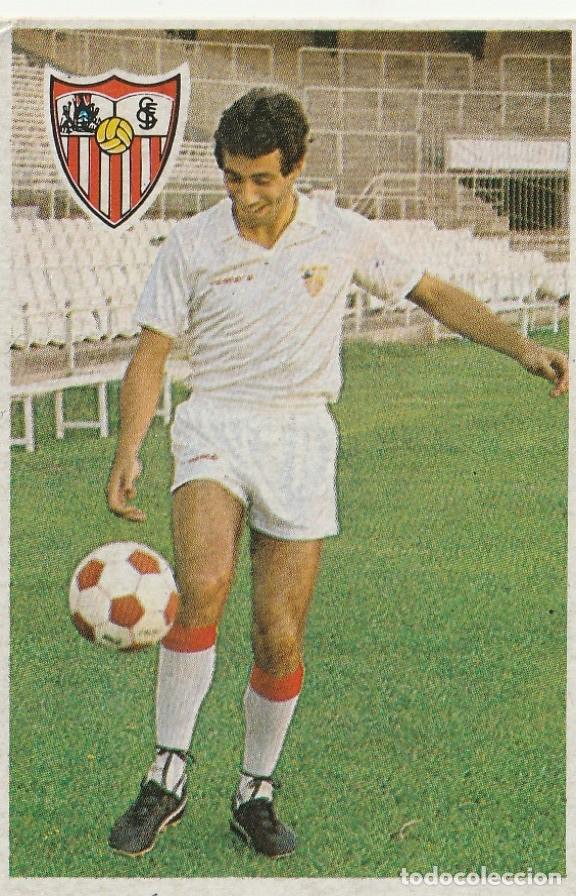 Cromos de F&uacute;tbol: MARADONA 84. MOIS&Eacute;S. NUNCA PEGADO.
