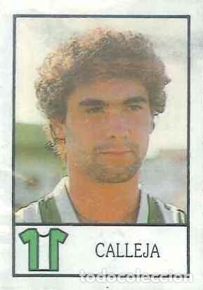 Cromos de F&uacute;tbol: FUTBOL - BOLLYCAO - 1987-1988 - 87-88 - REAL BETIS - 49 - CALLEJA (DESPEGADO)