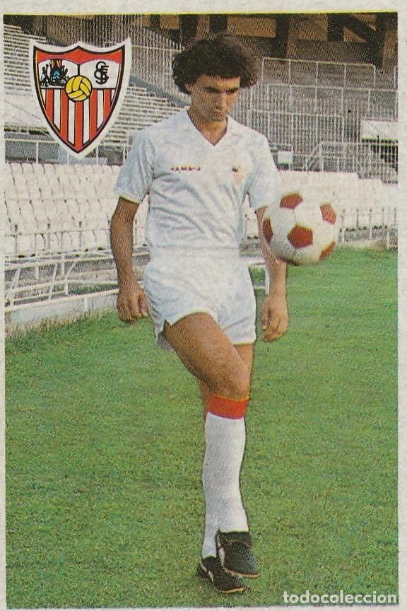 Cromos de F&uacute;tbol: MARADONA 84. SERNA. NUNCA PEGADO.